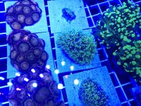 20260302_152822.jpg 20260302_152822.jpg