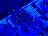 20260302_152927.jpg 20260302_152927.jpg