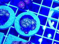 20260302_153044.jpg 20260302_153044.jpg