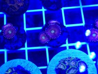 20260302_153055.jpg 20260302_153055.jpg