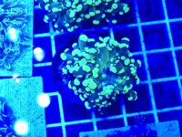 20260302_203054.jpg 20260302_203054.jpg