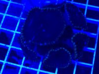 20260302_203142.jpg 20260302_203142.jpg