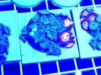 20260302_203435.jpg 20260302_203435.jpg