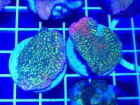 20260302_203457.jpg 20260302_203457.jpg