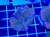 20260302_203509.jpg 20260302_203509.jpg