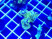 20260302_203524.jpg 20260302_203524.jpg