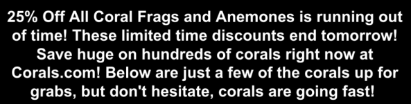 Screenshot 2026-03-05 at 9.27.21 AM.png