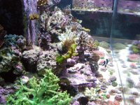 DSCN0378.jpg
