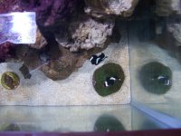100_1035.jpg