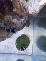 100_1036.jpg