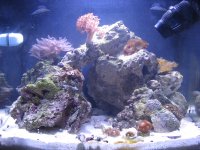 FTS19th.JPG