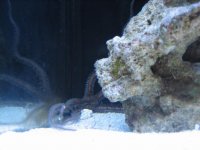 IMG_0988.jpg