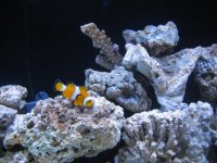 IMG_0991.jpg