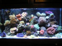 Zoos in far right hand side midway up.jpg