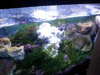 Field of sump.JPG