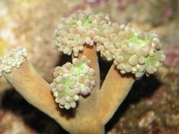 aquarium  4 439.jpg