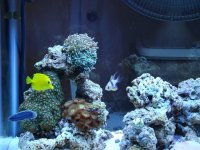 DSC00910.JPG