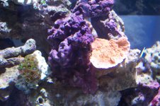 100_1050.jpg