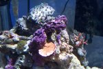 100_1051.jpg
