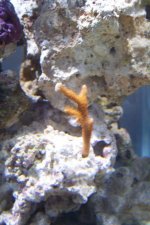 100_1052.jpg