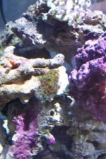 100_1054.jpg