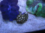 Aquatic Express Acquisitions 062_800x600.jpg