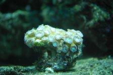 DSC_0031.jpg