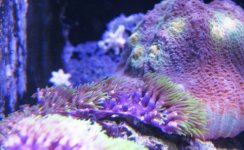 IMG_6523.JPG