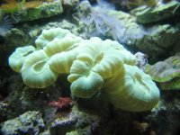 IMG_6424.JPG