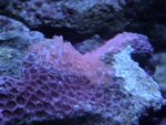DSC00273.jpg