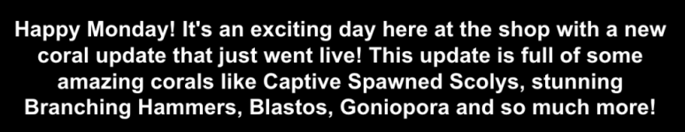 Screenshot 2026-03-09 at 12.33.52 PM.png