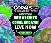 3.10 new coral.png