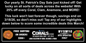 Screenshot 2026-03-12 at 1.03.37 PM.png