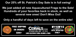 Screenshot 2026-03-13 at 11.30.49 AM.png