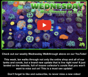 Screenshot 2026-03-18 at 11.22.34 AM.png