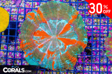 Untitled design(23).png