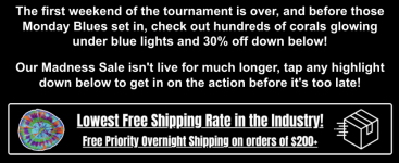 Screenshot 2026-03-23 at 1.32.17 PM.png