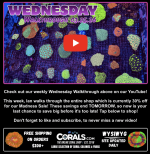 Screenshot 2026-03-25 at 3.05.46 PM.png