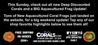 Screenshot 2026-03-27 at 1.44.38 PM.png