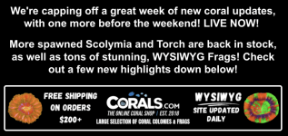 Screenshot 2026-03-27 at 10.53.11 AM.png