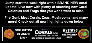 Screenshot 2026-03-30 at 12.16.25 PM.png