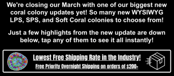 Screenshot 2026-03-31 at 12.03.13 PM.png