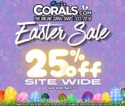 Easter Sale '26.jpeg