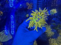 IMG_6798.jpeg