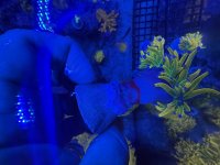 IMG_6797.jpeg