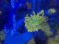 IMG_6796.jpeg