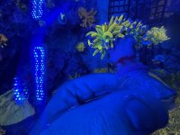 IMG_6799.jpeg