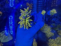 IMG_6800.jpeg