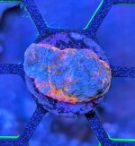 Unicorn Poop Chalice.jpg