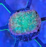 Ludicrous Chalice A.jpg